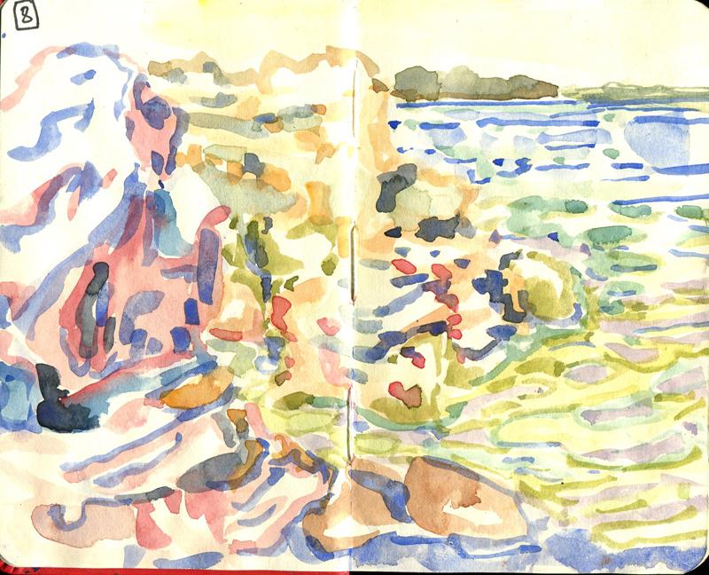 Danion 2026 bretagne 008