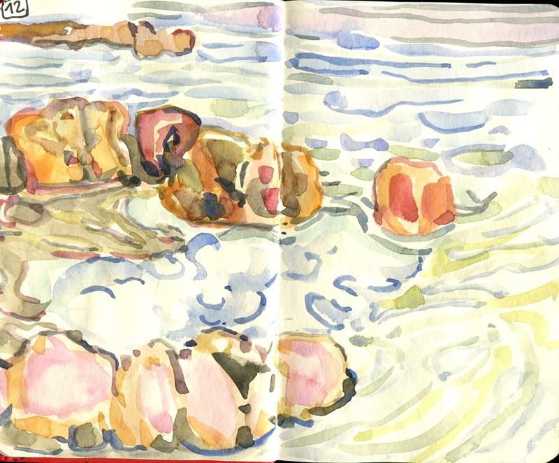 Danion 2026 bretagne 012