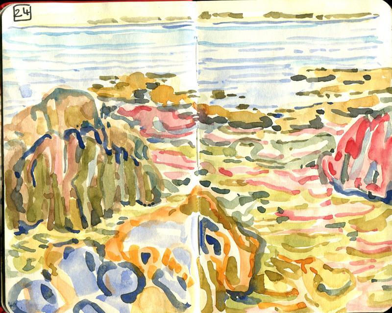Danion 2026 bretagne 024