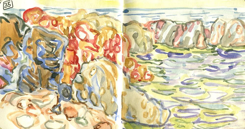 Danion 2026 bretagne 035