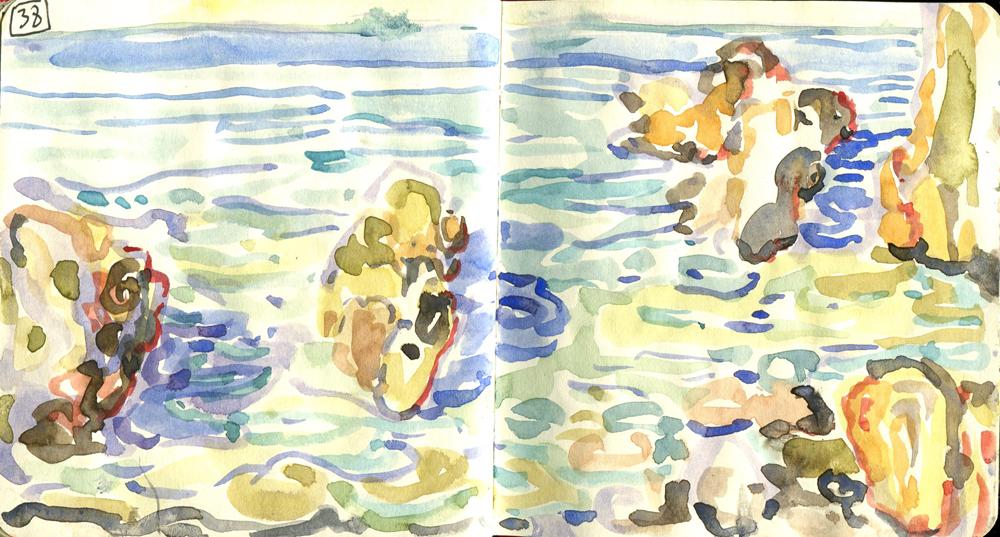 Danion 2026 bretagne 038