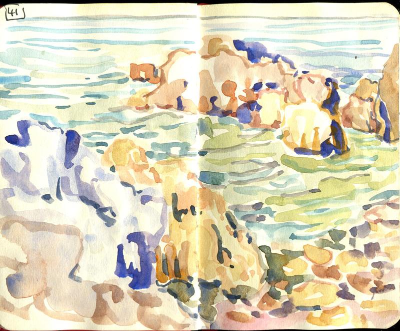 Danion 2026 bretagne 041