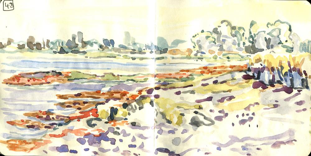 Danion 2026 bretagne 048