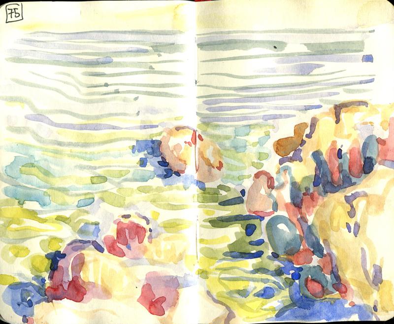 Danion 2026 bretagne 075