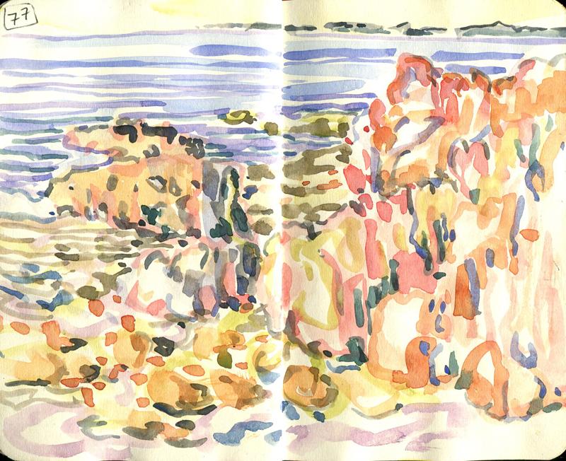 Danion 2026 bretagne 077