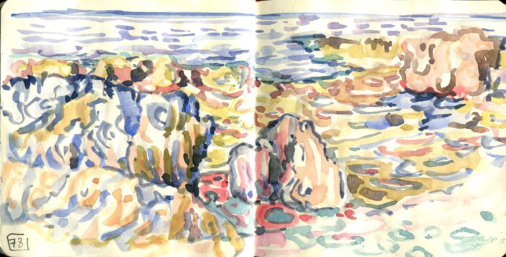 Danion 2026 bretagne 078