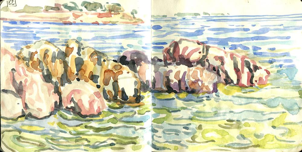 Danion 2026 bretagne 082