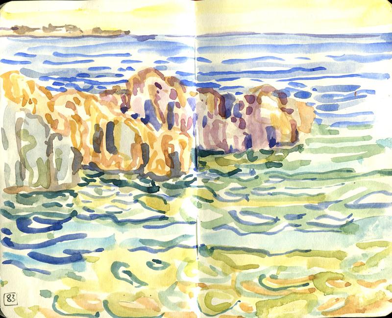 Danion 2026 bretagne 083