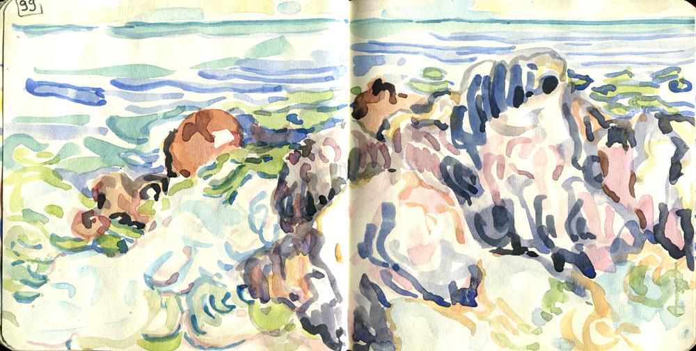 Danion 2026 bretagne 099