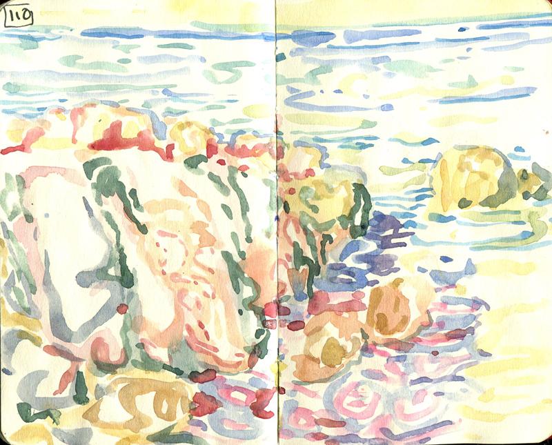 Danion 2026 bretagne 110