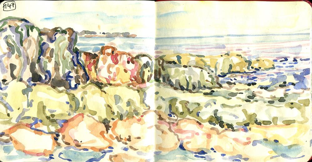 Danion 2026 bretagne 147