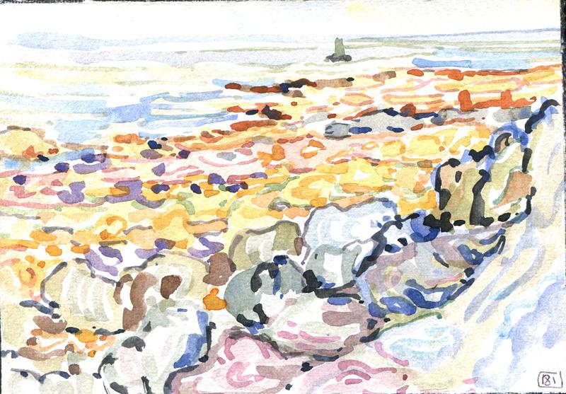 Danion 2026 bretagne 181