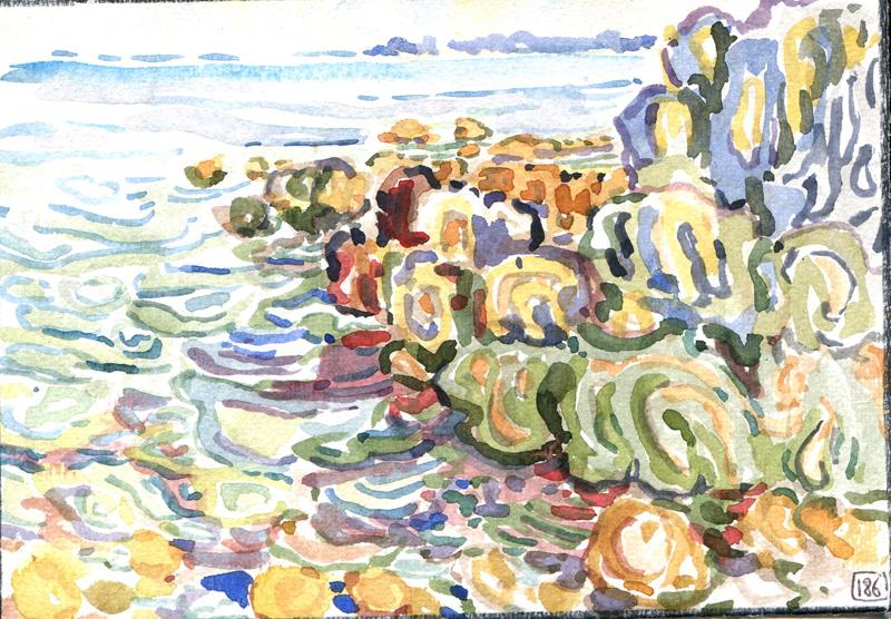 Danion 2026 bretagne 186