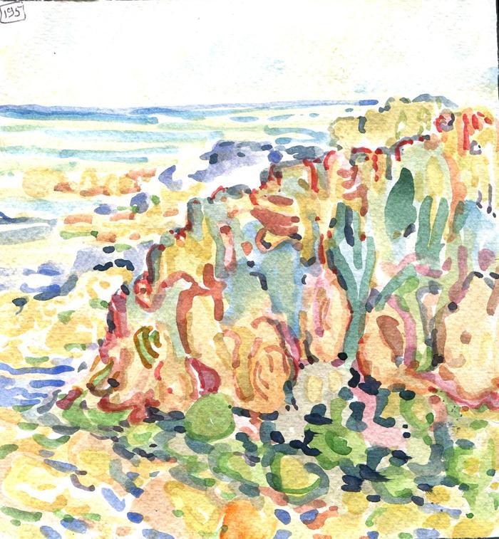 Danion 2026 bretagne 199