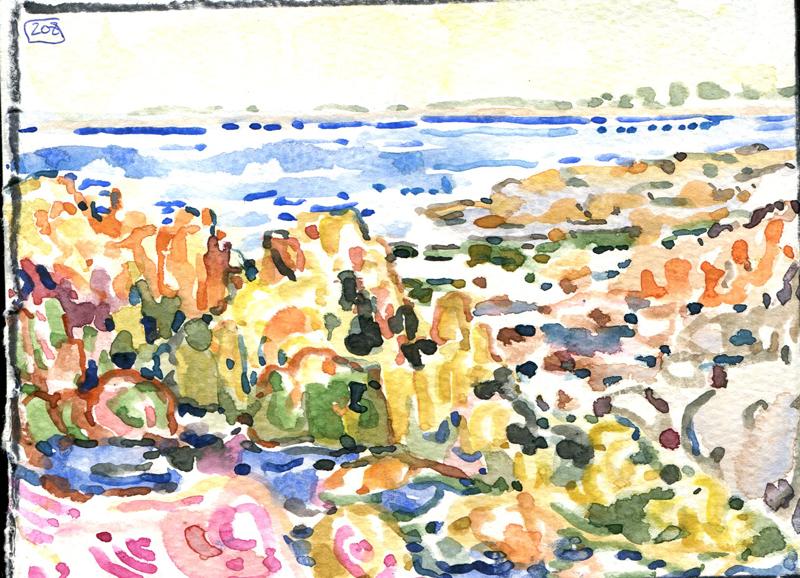 Danion 2026 bretagne 208