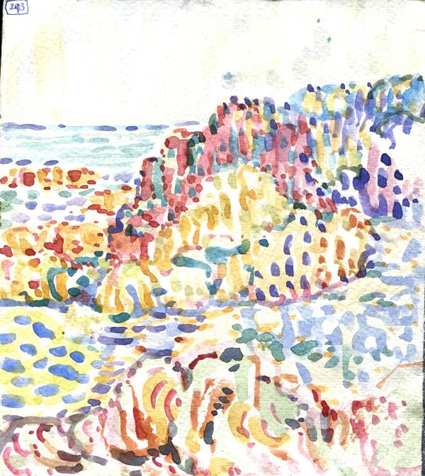 Danion 2026 bretagne 213