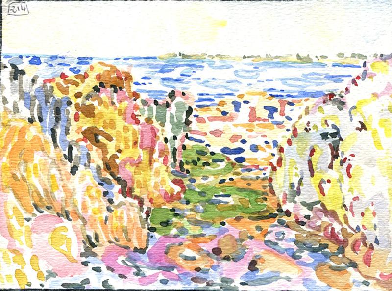 Danion 2026 bretagne 214