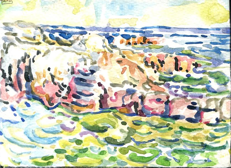Danion 2026 bretagne 218