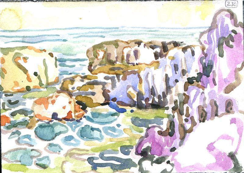 Danion 2026 bretagne 230
