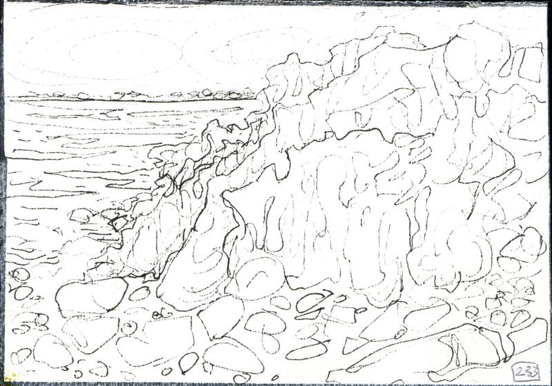Danion 2026 bretagne 233