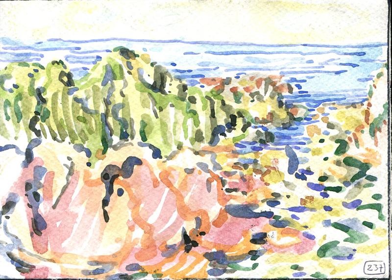 Danion 2026 bretagne 237