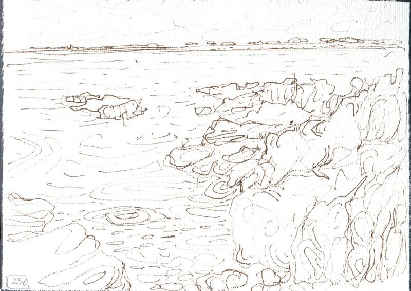 Danion 2026 bretagne 257
