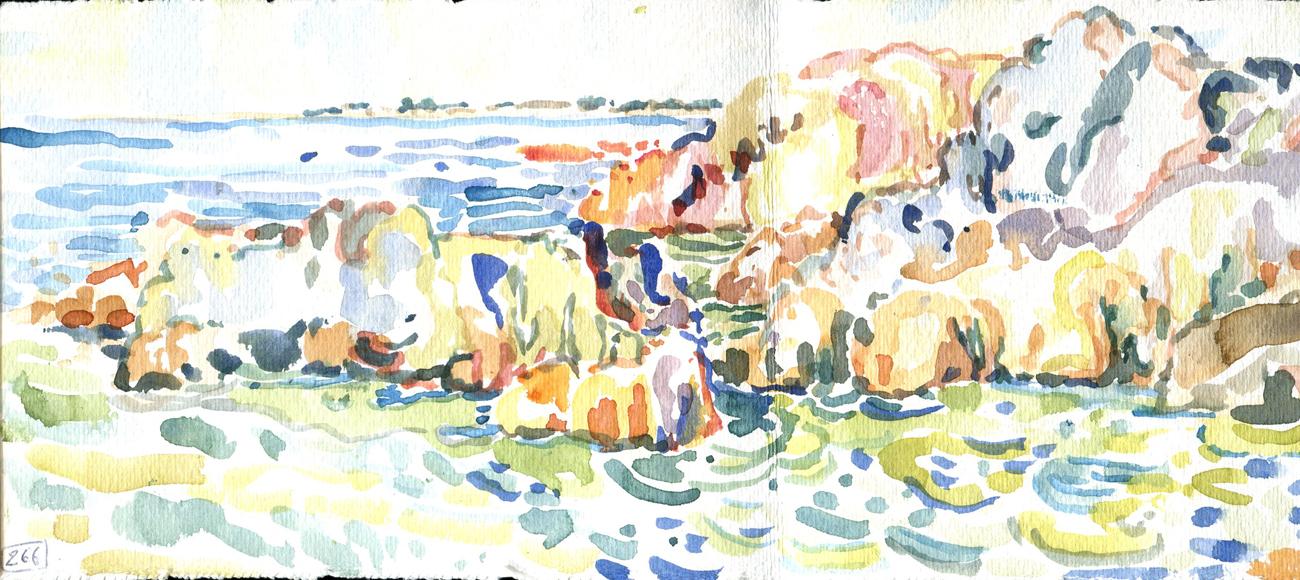Danion 2026 bretagne 267