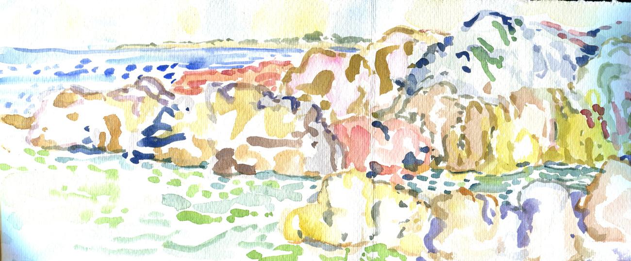 Danion 2026 bretagne 268