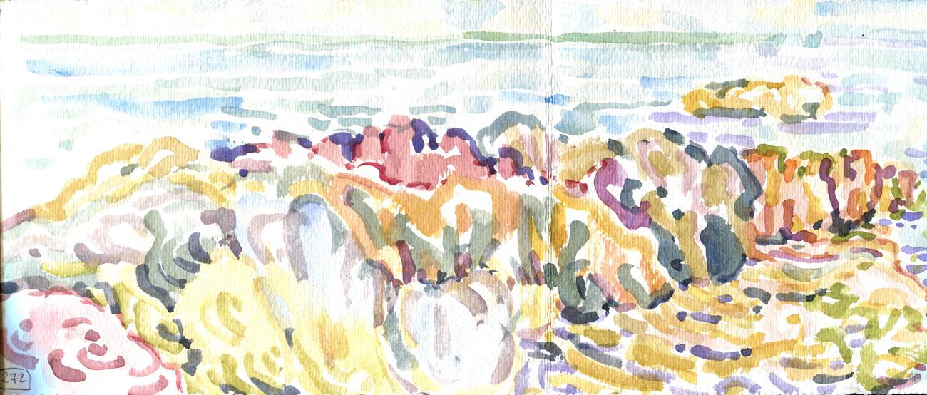 Danion 2026 bretagne 273