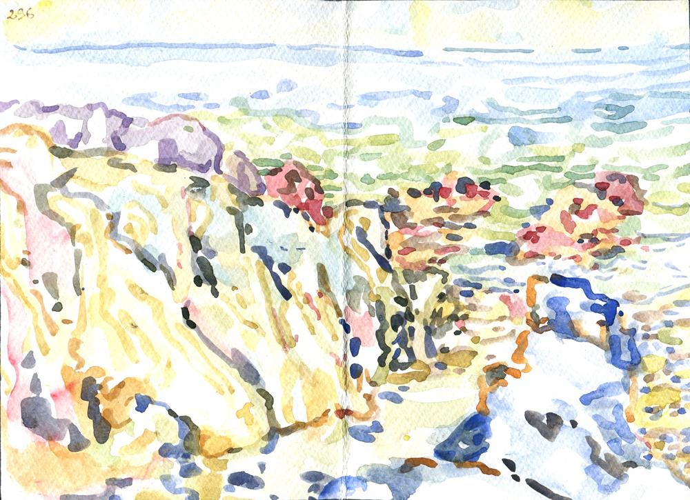 Danion 2026 bretagne 296