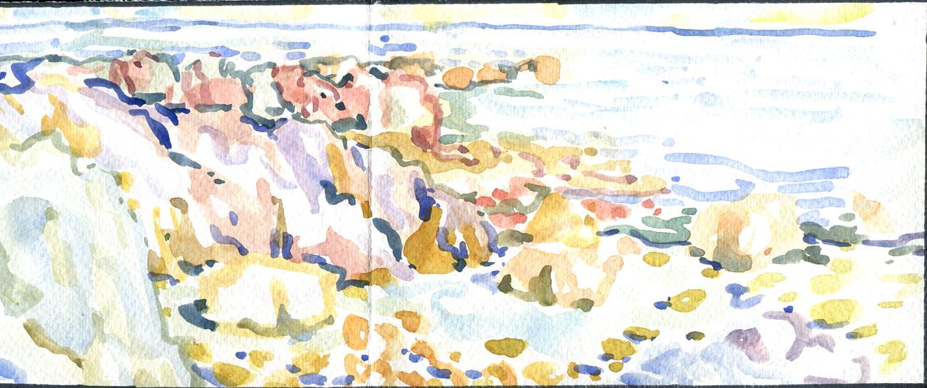 Danion 2026 bretagne 299