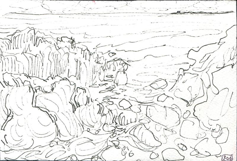 Danion 2026 bretagne 306