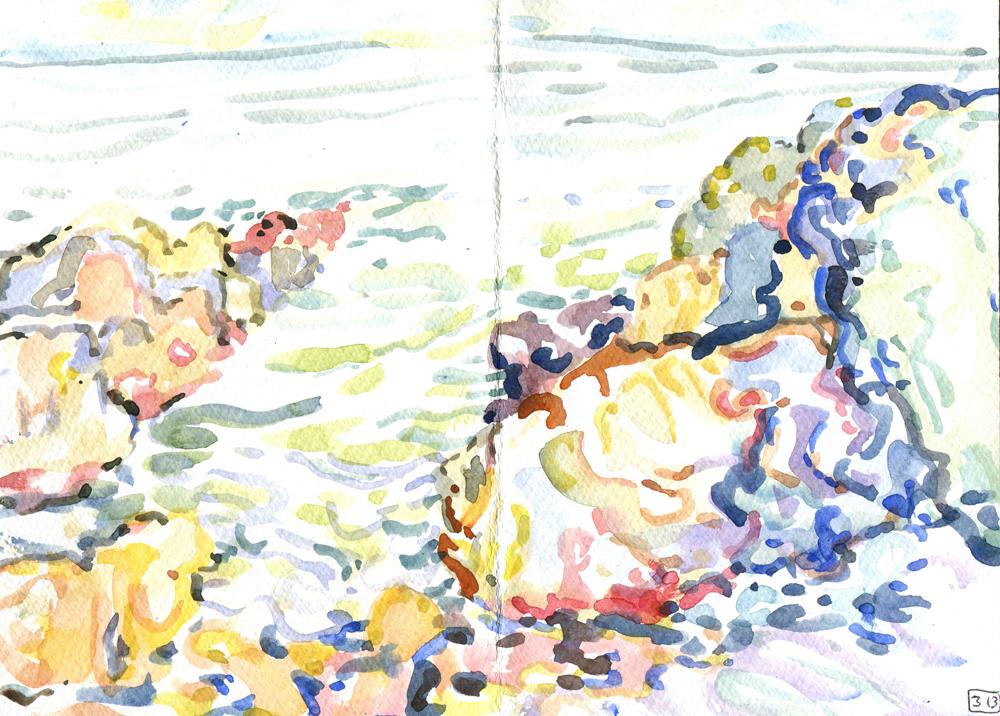 Danion 2026 bretagne 313