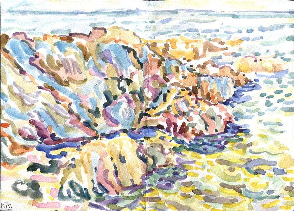 Danion 2026 bretagne 315